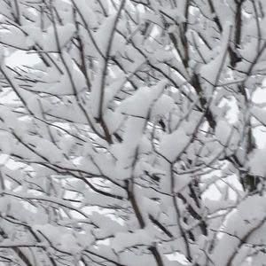 Meet your Posher, Dizzyd